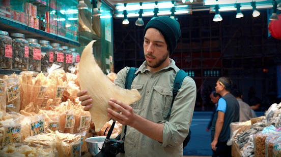 Are Environmental Films Making a Difference?
