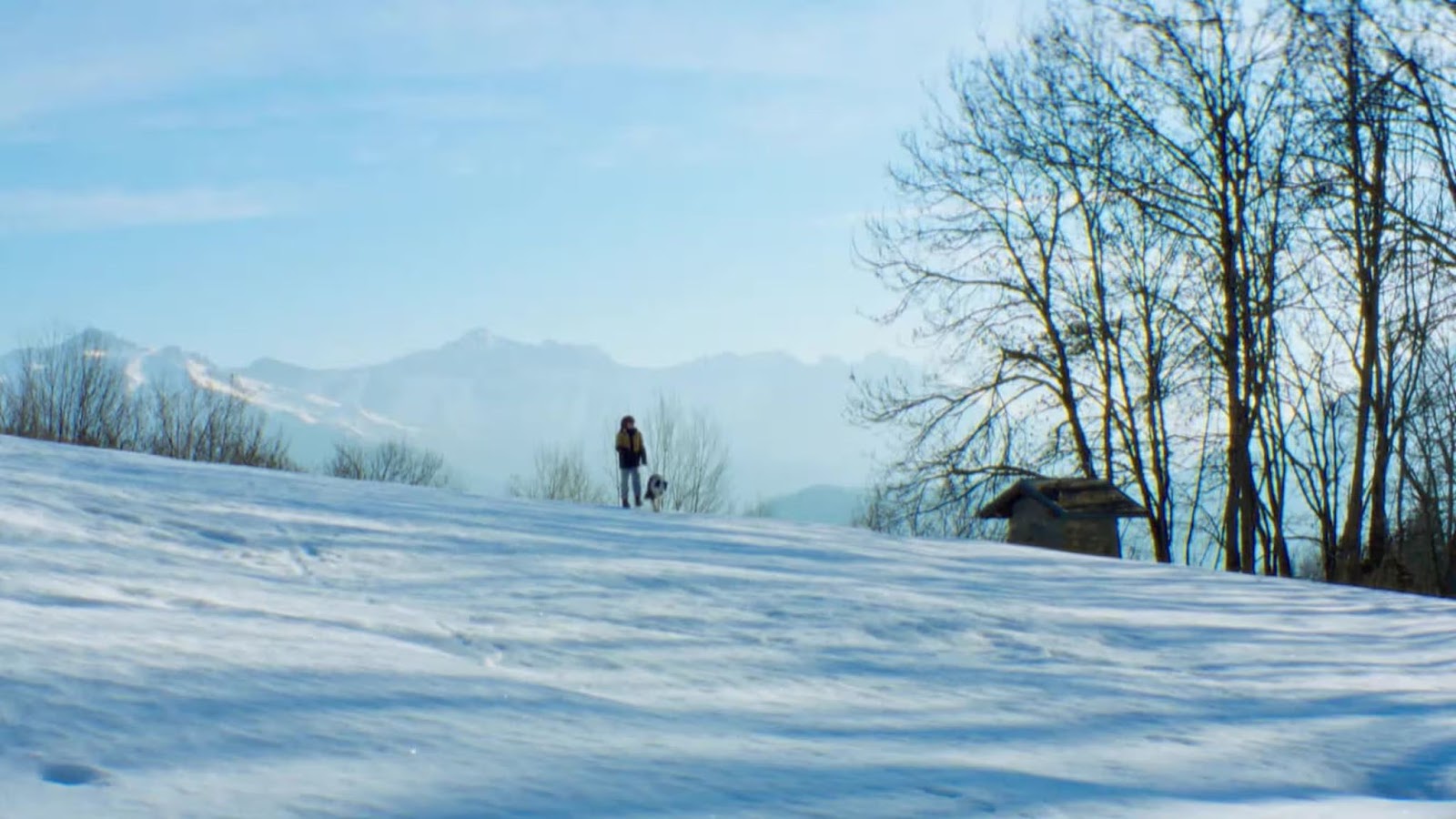 The Production Design behind Anatomy of a Fall