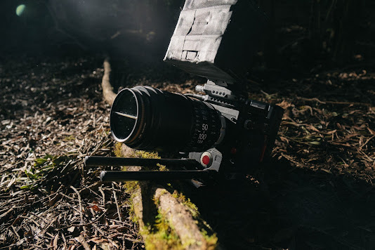 Are Environmental Films Making a Difference?